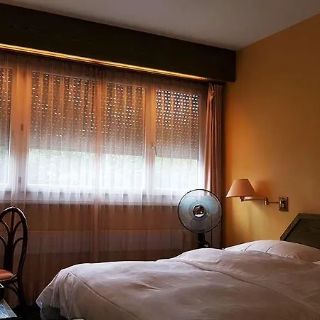 De La Vendee Hotel Lancy